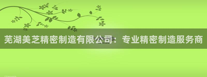彩神v大众娱乐：芜湖美芝精密制造有限公司：专业精密制造服务商