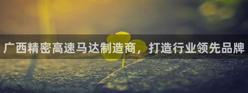 彩神viii下载安卓：广西精密高速马达制造商，打造行业领先品牌