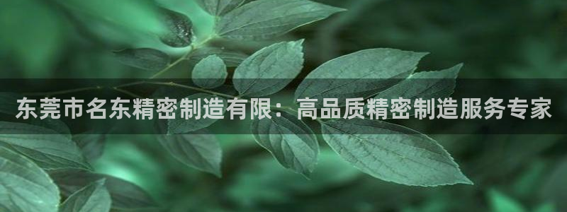 彩神vip官方网站：东莞市名东精密制造有限：高品质精密制造服务专家