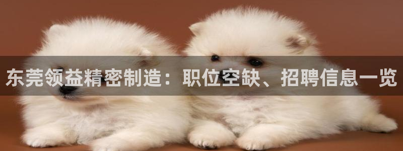彩神怎么才能赢