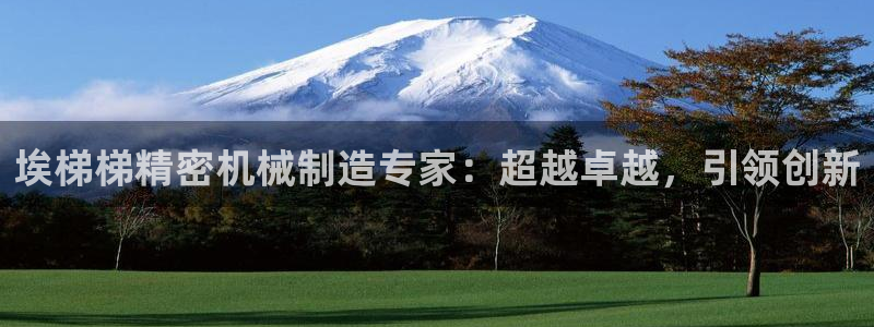 新版彩神v8登录