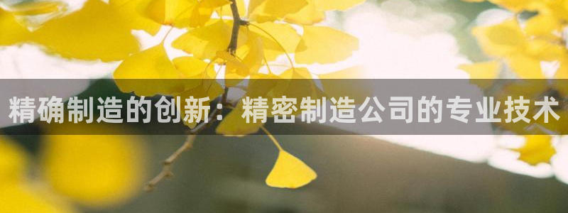 彩神赢的钱是哪里来的：精确制造的创新：精密制造公司的专业技术
