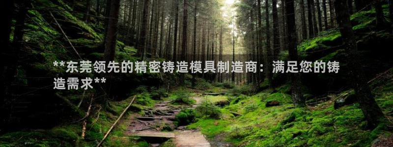 彩神邀请码:00-00-3267：**东莞领先的精密铸造模具制造商：满足您的铸
造需求**