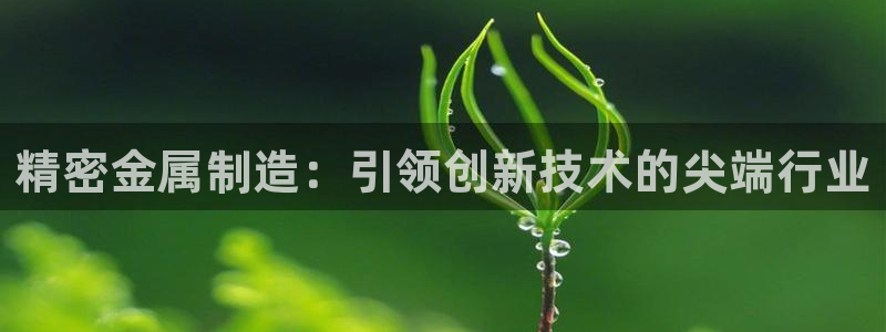 彩神广告有限公司：精密金属制造：引领创新技术的尖端行业