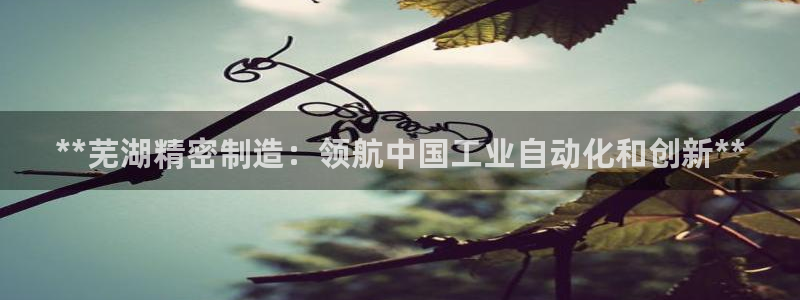 彩神iv争霸购彩大厅