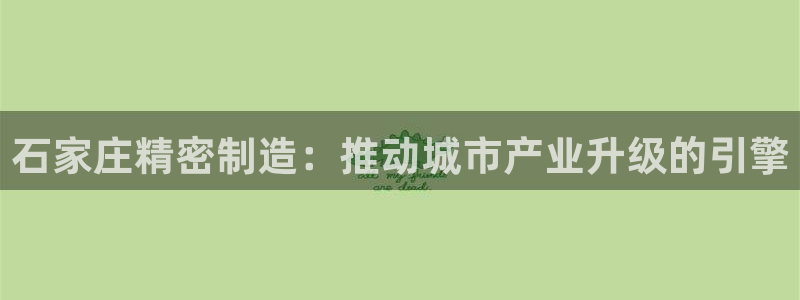彩神8下载安卓版-彩神8(可提现)官网版1.0.0：石家庄精密制造：推动城市产业升级的引擎