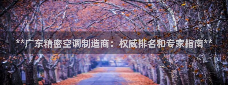 彩神vl购彩大厅：**广东精密空调制造商：权威排名和专家指南**