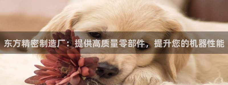 彩神旗下有哪些平台：东方精密制造厂：提供高质量零部件，提升您的机器性能