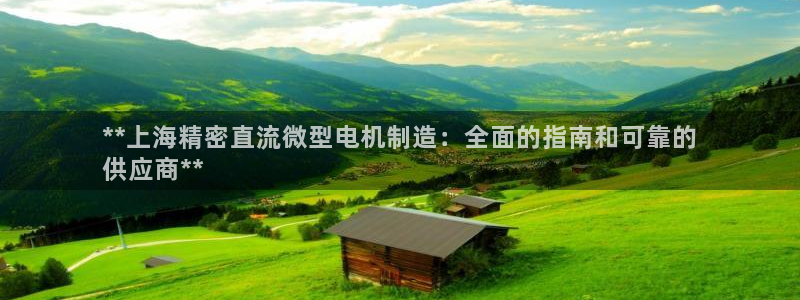 所有彩神购买首页中心：**上海精密直流微型电机制造：全面的指南和可靠的
供应商**