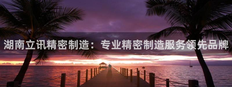 彩神iv能赚钱吗：湖南立讯精密制造：专业精密制造服务领先品牌