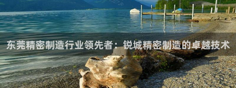 天天彩神welcome：东莞精密制造行业领先者：锐城精密制造的卓越技术