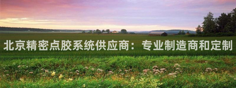 彩神ⅴll用户登录：北京精密点胶系统供应商：专业制造商和定制