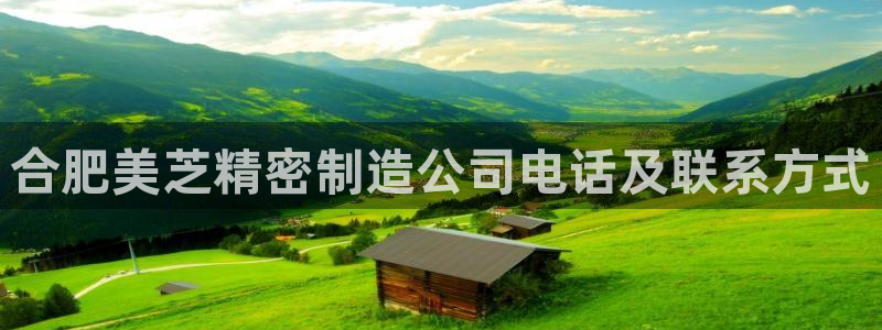 彩神8官网合法吗：合肥美芝精密制造公司电话及联系方式