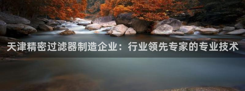 彩神赢的钱是哪里来的：天津精密过滤器制造企业：行业领先专家的专业技术