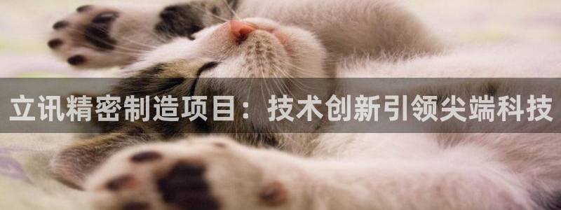 彩神购彩-购彩大厅入口下载：立讯精密制造项目：技术创新引领尖端科技