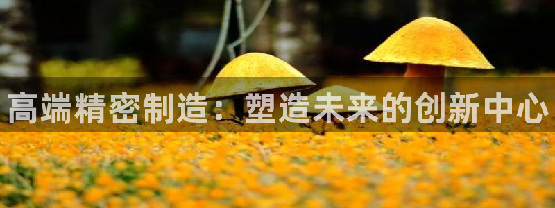 彩神vⅲ下载安装：高端精密制造：塑造未来的创新中心