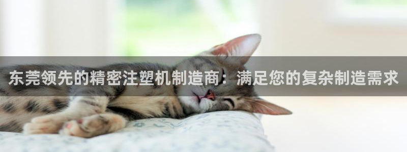 彩神vⅲ下载安装：东莞领先的精密注塑机制造商：满足您的复杂制造需求