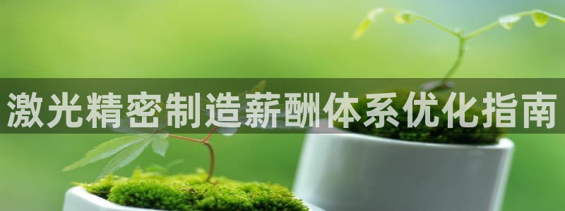 彩神8彩平台官网：激光精密制造薪酬体系优化指南