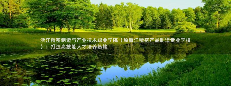 彩神vll购彩大厅：浙江精密制造与产业技术职业学院（原浙江精密产品制造专业学校
）：打造高技能人才培养基地