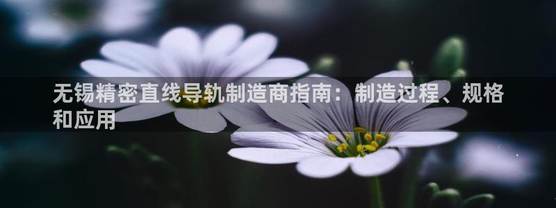 彩神官方登录：无锡精密直线导轨制造商指南：制造过程、规格
和应用