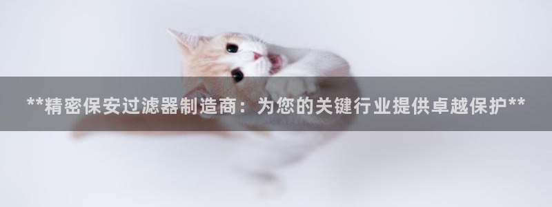 彩神8是正规平台吗：**精密保安过滤器制造商：为您的关键行业提供卓越保护**