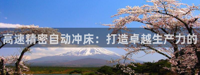 彩神v8平台正规吗：高速精密自动冲床：打造卓越生产力的