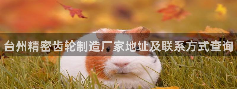 彩神购彩-购彩大厅入