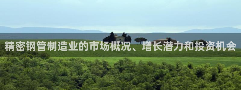 彩神x平台靠什么盈利：精密钢管制造业的市场概况、增长潜力和投资机会