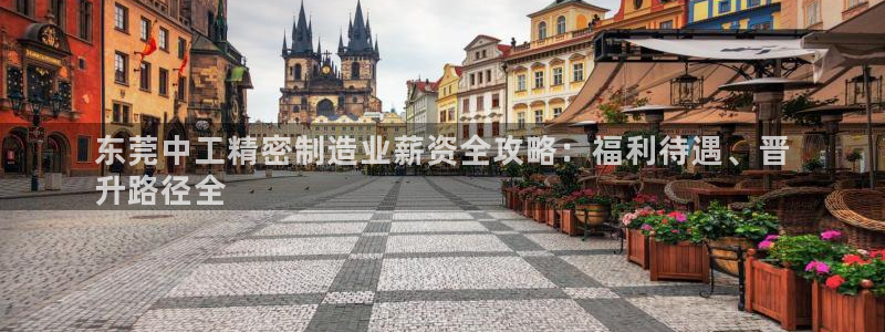 彩神ii官方网：东莞中工精密制造业薪资全攻略：福利待遇、晋
升路径全